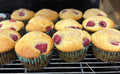Sour Cream Raspberry Muffins (6Pack)
